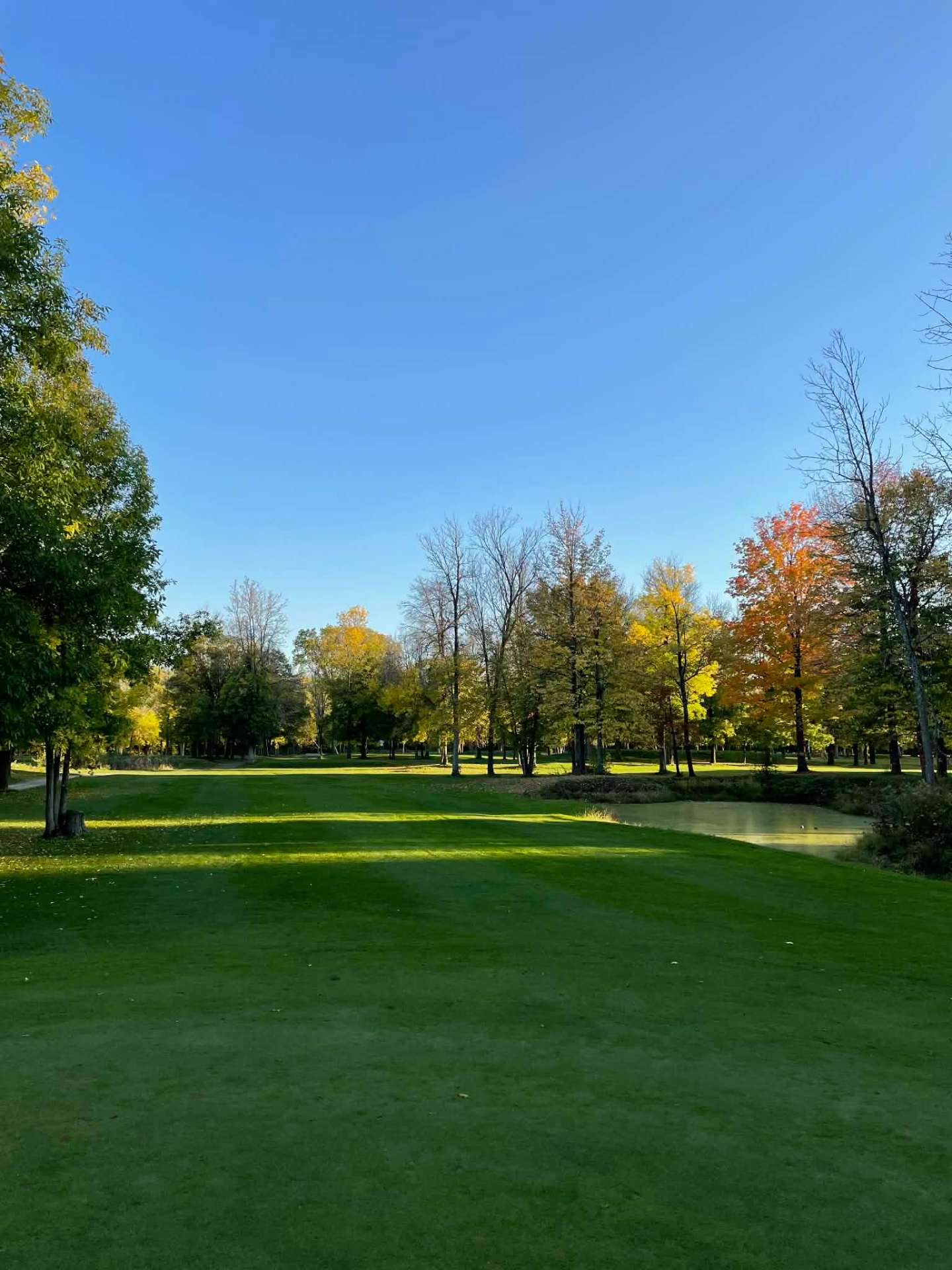 Fall fairway with pond