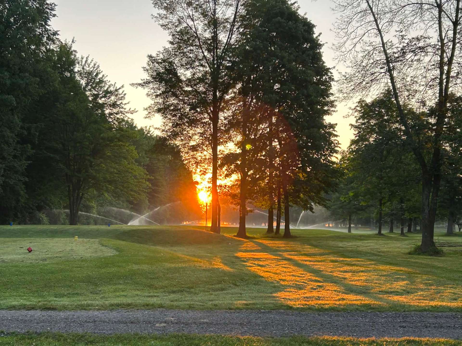 Golden hour sprinklers through the trees